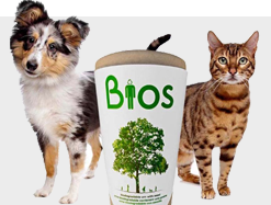 Biodegradable pet urns