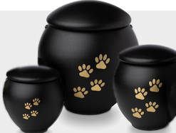 (Stainless) steel pet urns