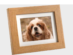 Photo frame pet urns