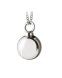Ash pendant Silver Ball