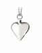 Ash pendant Silver Heart