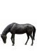 Horse bronze memorial statue - limited availability