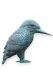 Kingfisher bronze memorial statue - limited availability
