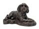 Cockapoo dog urn for cremation ashes