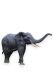 Life-size elephant bronze memorial statue - limited availability