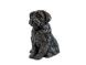 Shih Tzu dog urn for cremation ashes