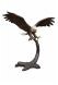 Eagle bronze memorial sculpture ‘Wings of Freedom’ - limited availability