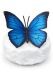 Blue Morpho Butterfly bronze memorial sculpture ‘Wings of Remembrance’ - limited availability