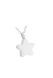 Stainless steel ashes pendant 'Star'