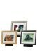 Tribute framepod pet urn in several colours and sizes
