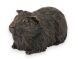 Guinea pig urn