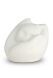 Grey cat cremation ashes urn