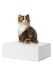 Pet urn 'Persian cat'