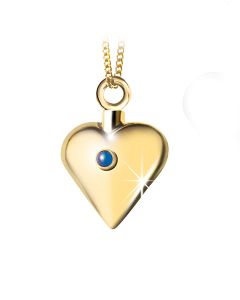 Ash jewel pendant Golden Heart