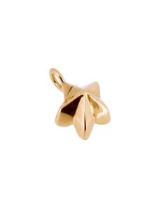 Golden memorial ashes charm 'Star/flower'