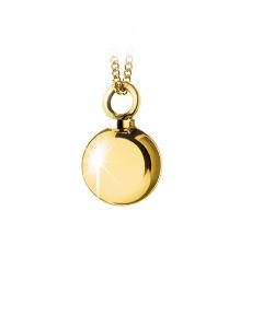 Ash jewel pendant Golden Heart