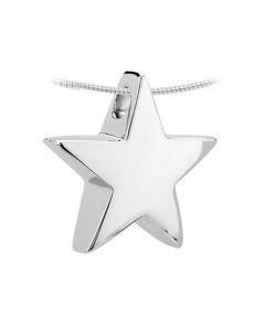 Ash pendant 14k. white gold 'Star' 