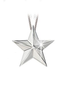Ash jewel pendant Silver Star
