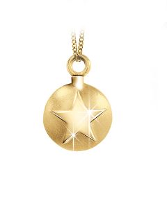 Ash jewel pendant Golden Star