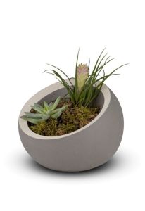 Porcelain cremation urn “Terra” - dark grey with white accent