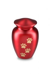 pet urn for ashes matte red with gold-coloured paw prints in various sizes