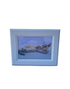 Tribute framepod pet urn l SALE