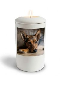 Handmade satin white dog urn with image, personalisable