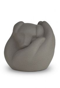 Dog cremation ashes urn