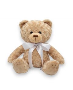 Huggable Teddy bear urn