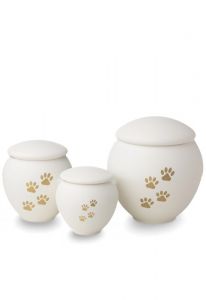 White pet urn with gold coloured paws