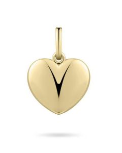 Yellow gold plated memorial pendant Heart