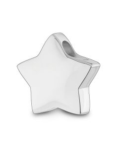 Ash jewel pendant Silver (925) Star