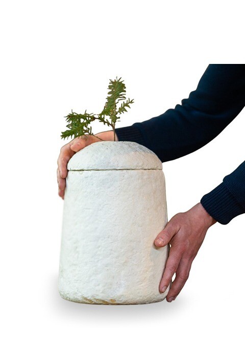 legendURN